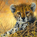 Baby Cheetah 