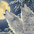 Moonlight