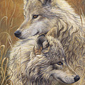 Together