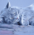 Asleep